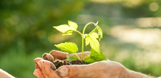 sustentabilidade-7