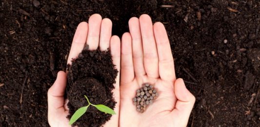 sustentabilidade-escolas-2