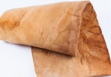 Tecido feito a partir do cogumelo pode substituir o couro e a camurça