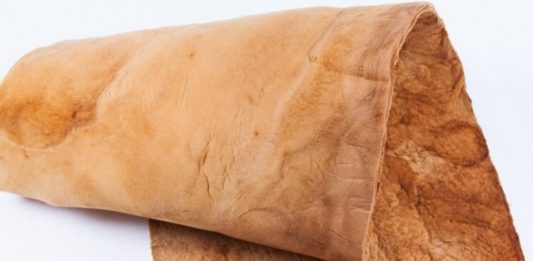 tecido-muskin-produzido-a-base-de-cogumelos-2