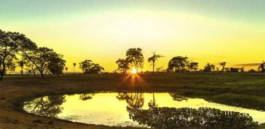 temperatura-do-pantanal-pode-subir-em-ate-7c-2
