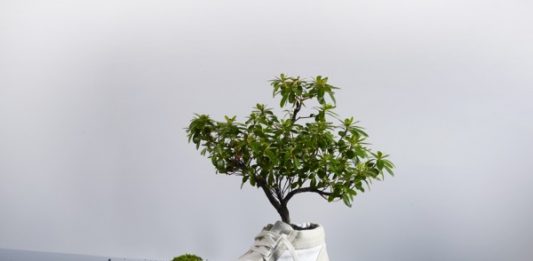 tenis-ecologico-oat