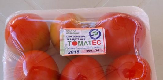 tomate-ecologico-2