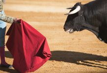 Cinco cidades espanholas cancelam touradas