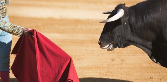touradas-sao-canceladas-em-cinco-municipios-da-espanha-2