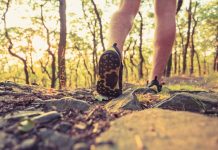 Trilhas das Unidades de Conservação vão ganhar sinalização