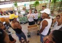 Virada Sustentável convida o público a potencializar seus cuidados com o meio ambiente