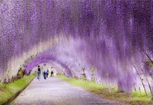 15 túneis incríveis feitos pela natureza