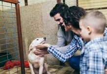 foto de família adotando cachorro