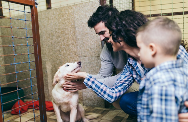 foto de família adotando cachorro