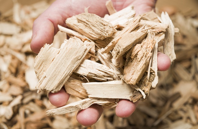 foto de pessoa segurando restos de madeira sustentável