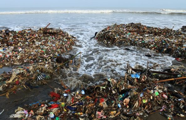 Conheça os diferentes tipos de degradação ambiental e a importância da ...