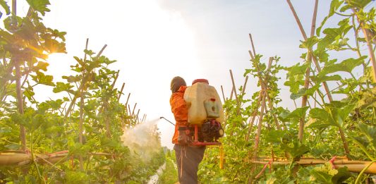 agrotoxico_capa