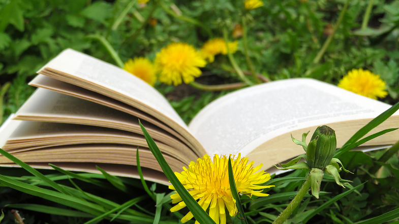 Livros sobre Natureza e Ambiente