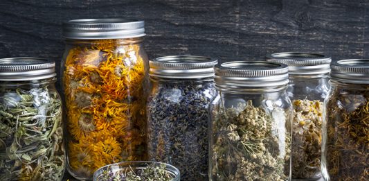 Herbs in jars