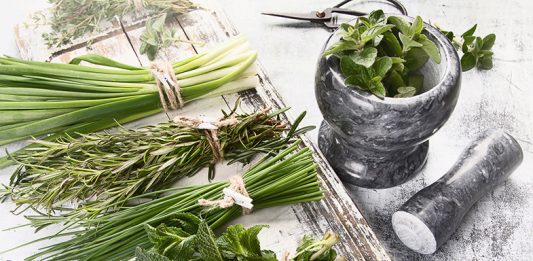 Fresh garden herbs