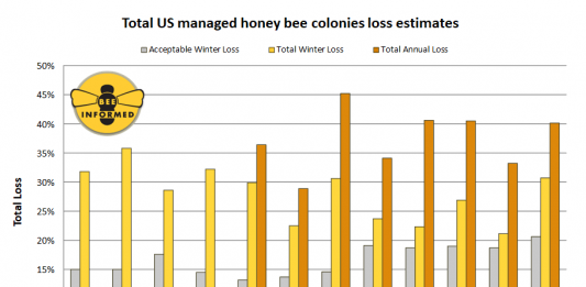 grafico-abelhas-bee-informed