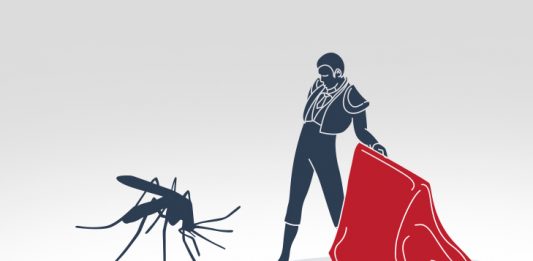 mosquito_cor_vermelha