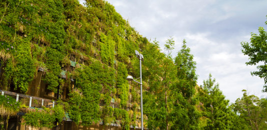 arquitetura_sustentavel_parede_verde