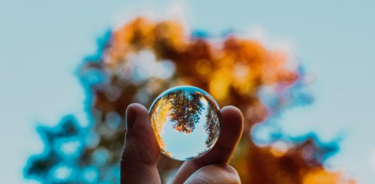 nagy-arnold-jFEH9GjZpZ4-unsplash