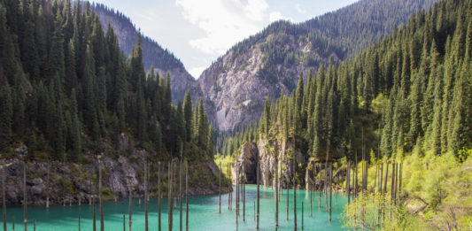 Kaindy Lake in Tien Shan mountain system, Kazakhstan