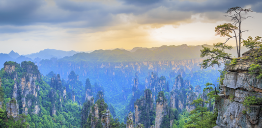 Quartzite-sandstone-pillars-and-peaks-with-green-trees-and-mountains-sunset-panorama-Zhangjiajie-national-forest-park-Hunan-province-China-1