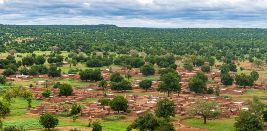 africa-esta-ganhando-uma-grande-muralha-verde-para-conter-a-desertificacao-2