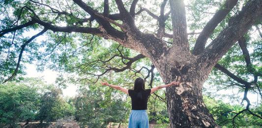 Entenda-como-o-contato-com-a-natureza-faz-aumentar-a-imunidade_interno