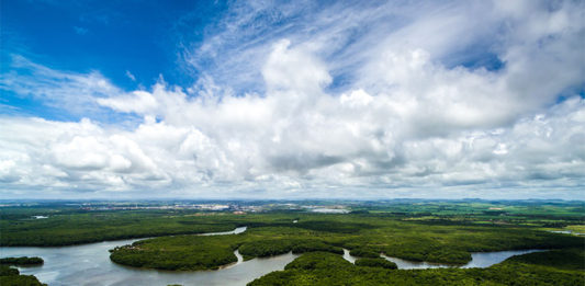 Pesquisa-Ibope-mostra-que-brasileiros-se-preocupam-com-o-meio-ambiente_capa