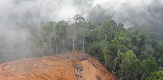 Pesquisa-Ibope-mostra-que-brasileiros-se-preocupam-com-o-meio-ambiente_interno