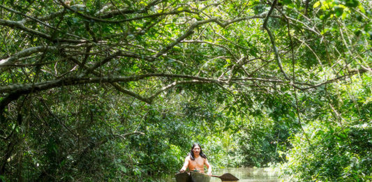 Projeto-incentiva-a-preservação-ambiental-mas-apresenta-fragilidades,-segundo-especialista_capa