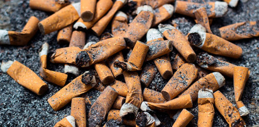 startup-transforma-bitucas-de-cigarro-em-celulose