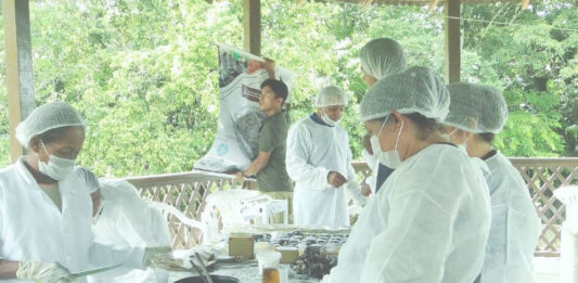 mulheres-ribeirinhas-investem-na-producao-de-biocosmeticos