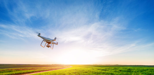 pesquisadora-cria-drone-capaz-de-plantar-100-mil-arvores-por-dia