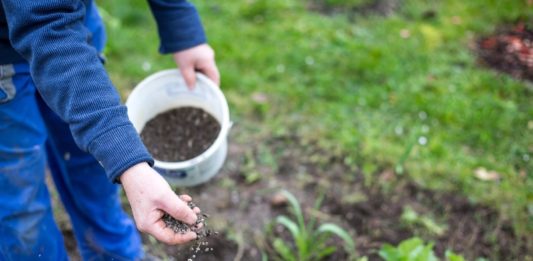 professor-brasileiro-recebe-premio-por-criar-biofertilizante