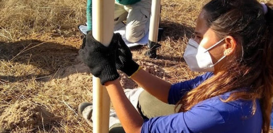 projeto-utiliza-canos-de-pvc-para-plantar-na-caatinga