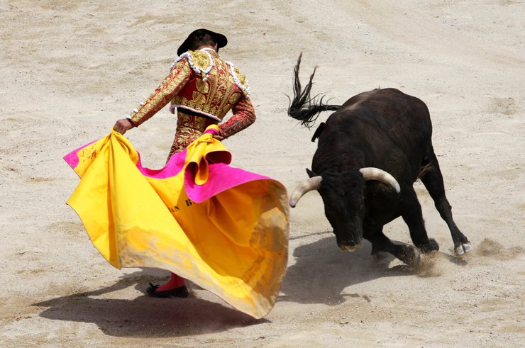 O que acontece com os touros que morrem nas touradas da Espanha? - Mega  Curioso