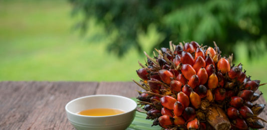 Fresh palm oil fruits and cooking palm oil on a palm leaves in w