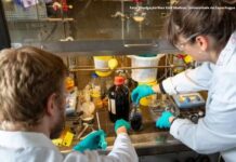 Plástico reciclado que captura CO2: a inovação que pode resolver duas crises ambientais de uma só vez