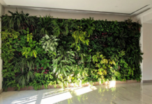 Sustentabilidade inteligente: dicas práticas que realmente fazem a diferença no seu dia a dia