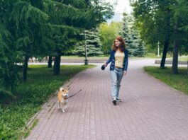 O ano acabou, mas pensar na sustentabilidade não: resoluções verdes para transformar 2026