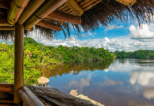 Amazônia é o grande reservatório de carbono que pode salvar o planeta