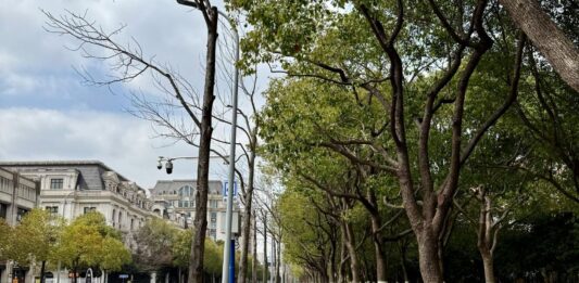 Imagens-Blogs-26